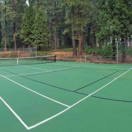 Cedar Oasis - Home Base To Big Trees Arnold Luaran gambar