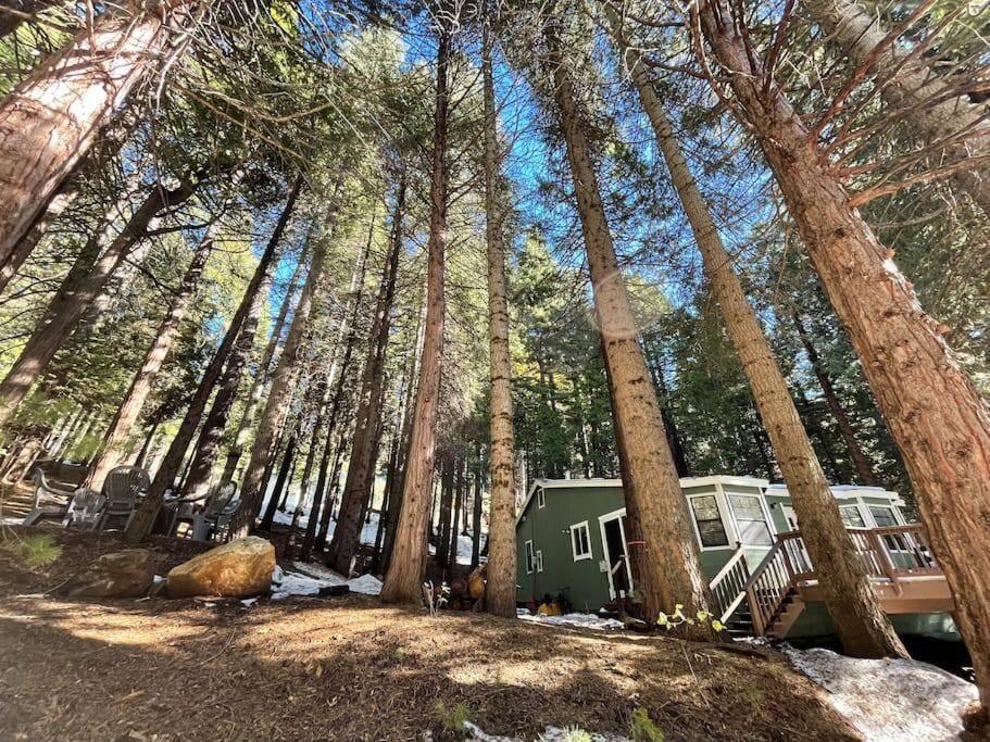 Cedar Oasis - Home Base To Big Trees Arnold Luaran gambar