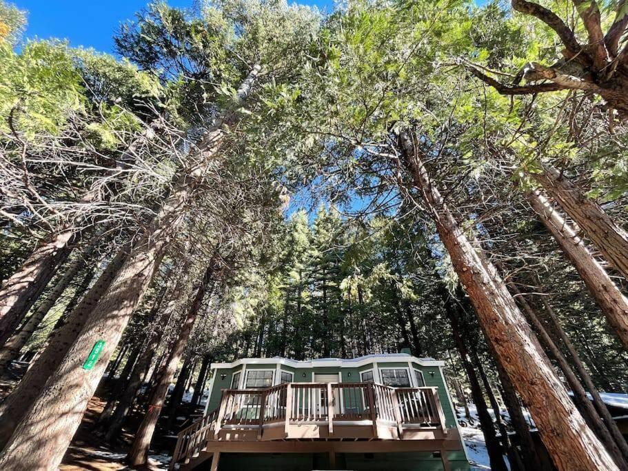 Cedar Oasis - Home Base To Big Trees Arnold Luaran gambar